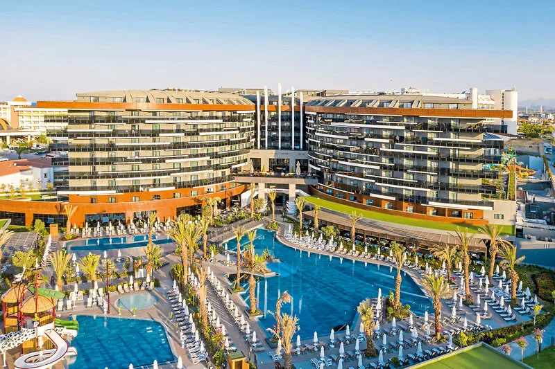 Calyptus Kirman Premium