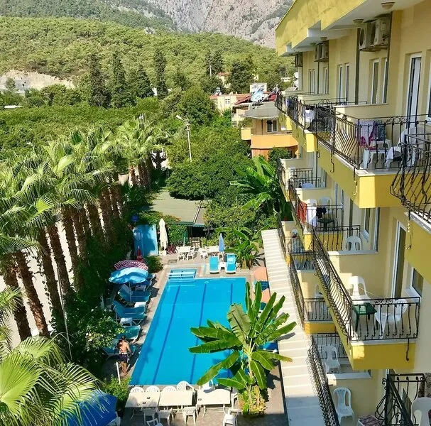 Pogled na zunanji bazen hotela Santana z ležalniki in okoliškimi palmami