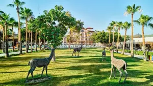 Selectum Colours Side